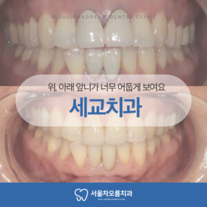 세교치과