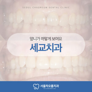 세교치과