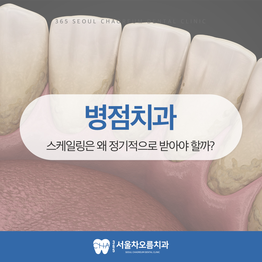 병점치과
