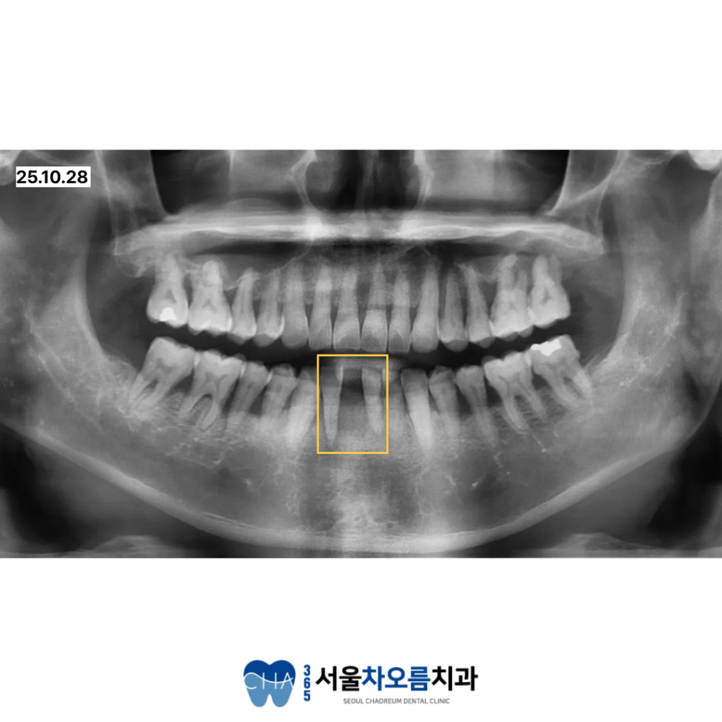 병점치과