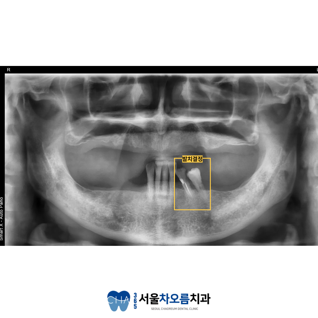 병점치과